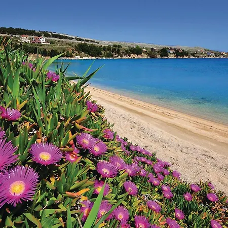 Stunning In Pag With Wifi